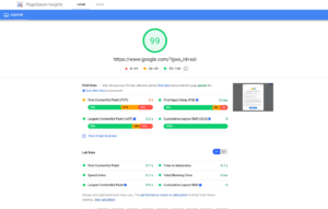 Google Page Speed Insights screenshot of how to check your Shopify store