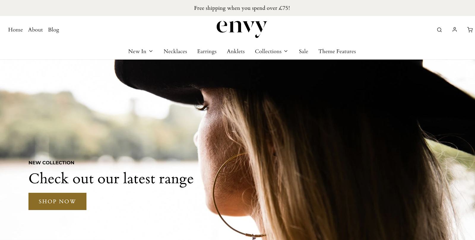 homepage of one of the best fashion themes in shopify that is called envy