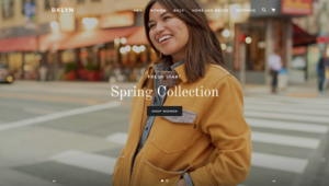 a screenshot of brooklyn, one of the best shopify themes