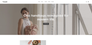 A screenshot of Shopify best themes for fashion debut home page