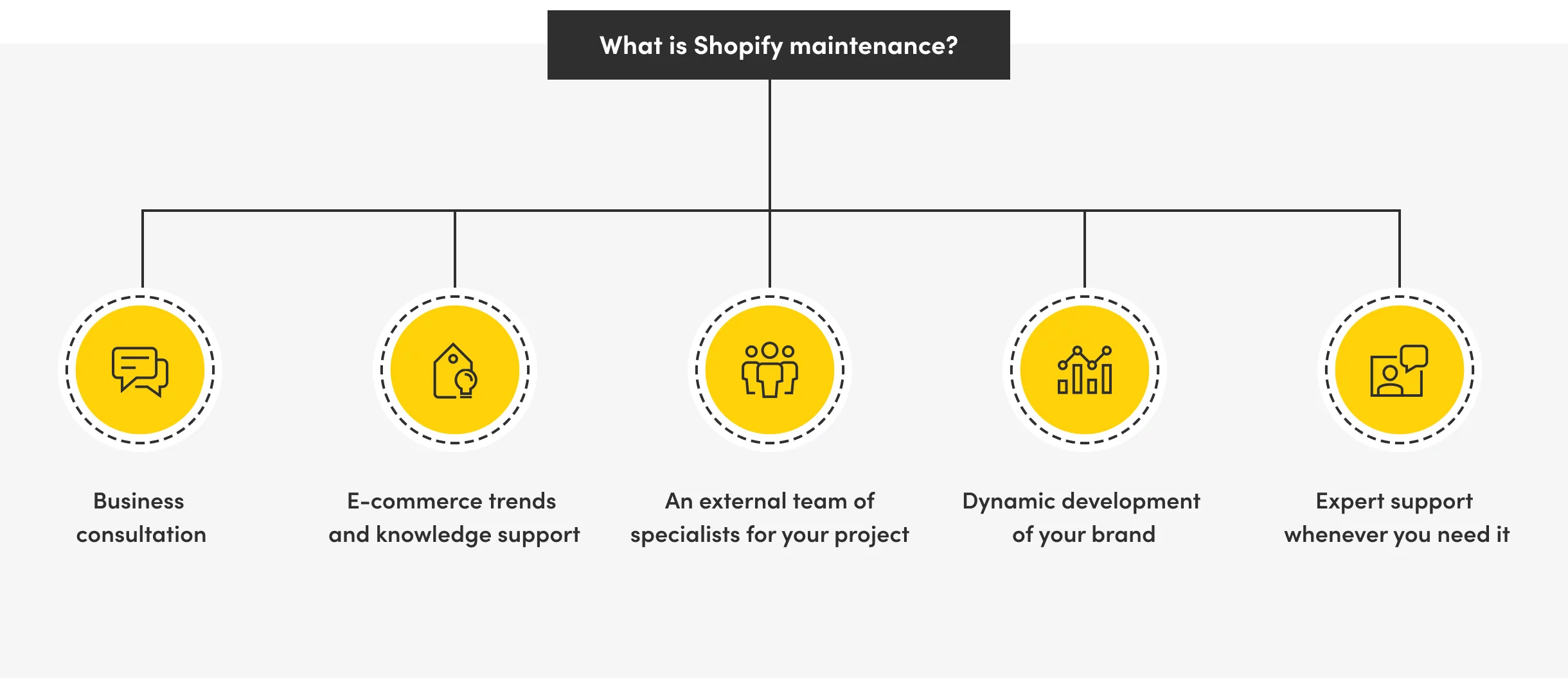 shopify maintenance infographics