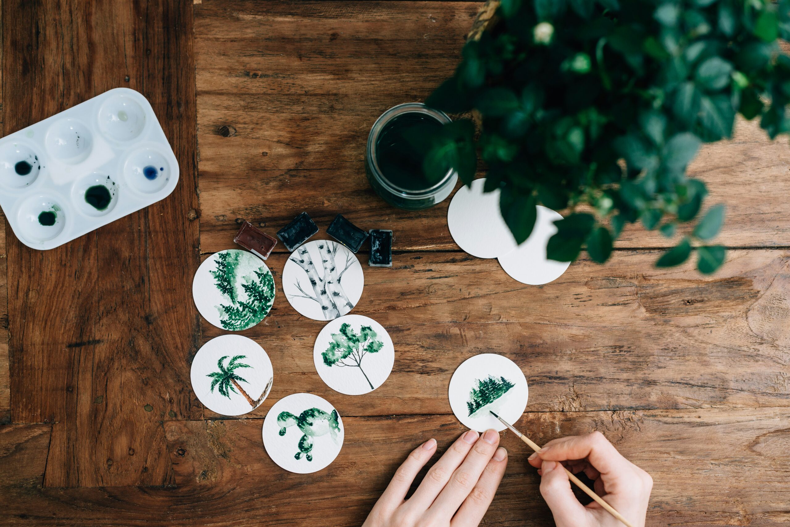 person painting green leafed plants